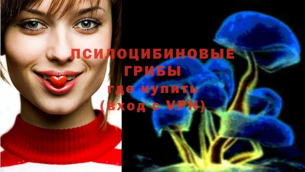 прущая мука Арсеньев