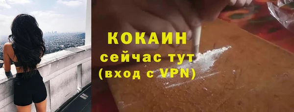 прущая мука Арсеньев