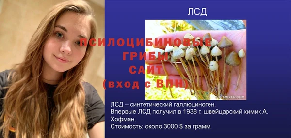 круглые Алзамай